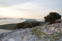 DSC_1916.jpg